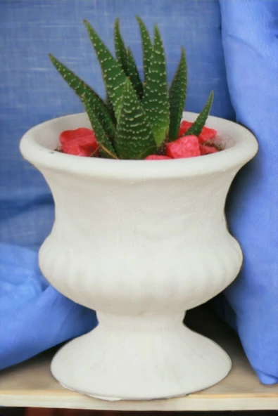 Kaktüs Saksı Dünyası El Yapımı Saksı Beyaz Dekoratif Saksı Küçük Boy Model 33 ürün görseli 1