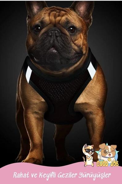 Pandogo Kedi Köpek Tasması Reflektörlü Fileli Hava Alan Kumaş Sevk Kayışlı Kedi Gezdirme Tasması Kırmızı M - Resim 7