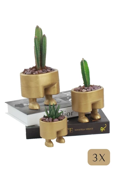 Stein Kohle Çiçek Saksısı Büyük Boy 3 Adet Altın Renk Uygulamalı Pantolon Model