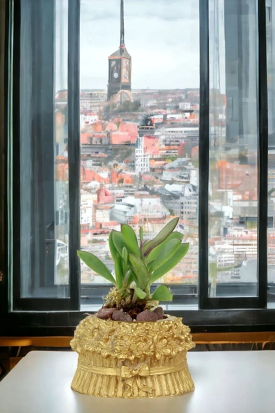 Viselia Kaktüs Saksısı Sukulent El Yapımı Saksı Balkon Çiçek Saksısı Ev Saksısı Saksı Model 3 Altın - Resim 4