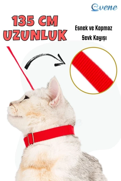 Evene Kedi Tasması Kedi Göğüs Bel Ayarlanabilir Dayanıklı Sağlam Tasma Kırmızı - Resim 5