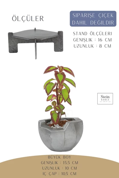 Stein Kohle Ayaklı Saksı Ahşap Büyük Boy 1 Adet Gümüş Renk Eskitme Uygulamalı Önü Açık Model - Resim 2