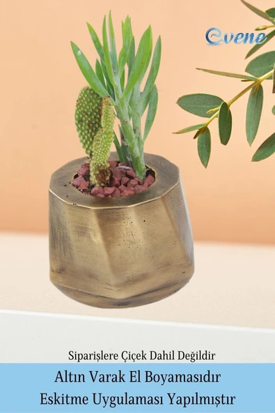 Evene Saksı Çiçek Kaktüs Saksısı Lüx 15 Cm Altın Eskitme Varak Boyalı Kalın Çizgi Desen 3'lü Set Çiçeklik - Resim 5