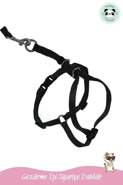 Pandogo Kedi Köpek Tasması Ayarlanabilir Bedenli Kaçış Önleyici Tasarım Sevk Kayışlı Dubai Model Siyah - Resim 5