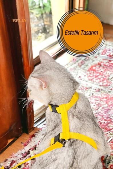 Viselia Kedi Tasması Boyun Göğüs Ayarlanabilir Sevk Kayışlı Gezdirme Seti - 2