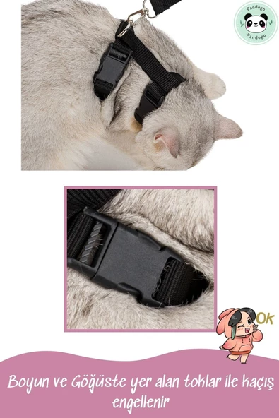 Pandogo Kedi Gezdirme Tasması Sevk Kayışlı Siyah - Resim 6