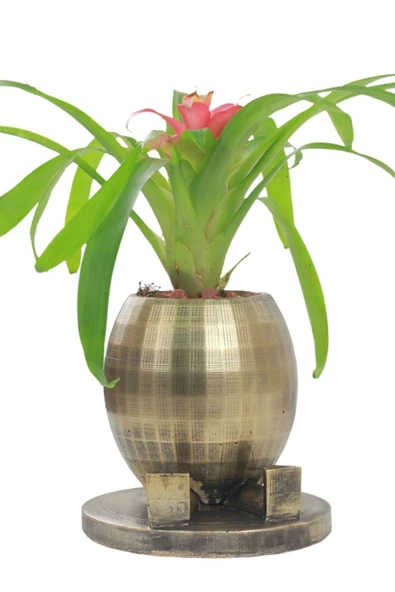 Stein Kohle Çiçek Saksısı Büyük Boy 1 Adet Altın Renk Eskitme Uygulamalı Ayaklı Yuvarlak Model ürün görseli