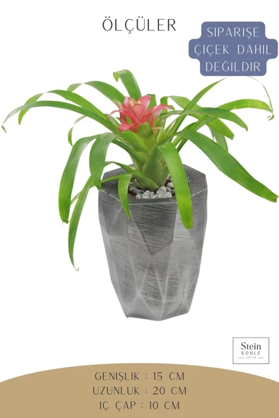 Stein Kohle Çiçek Saksısı Büyük Boy 1 Adet Gümüş Renk Eskitme Uygulamalı Uzun Poly Model - Resim 2