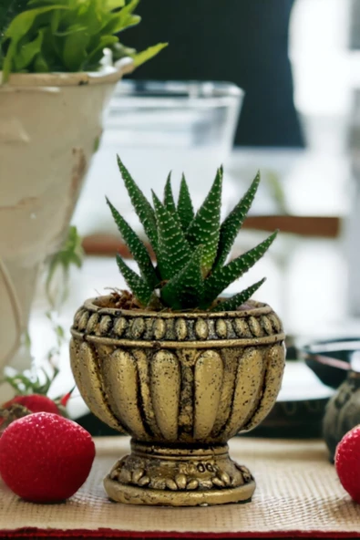 Viselia Kaktüs Saksısı Sukulent El Yapımı Saksı Balkon Çiçek Saksısı Ev Saksısı Saksı Model 17 Altın - Resim 6