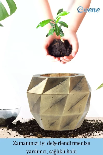 Evene Saksı Çiçek Kaktüs Saksısı Lüx 15 Cm Altın Eskitme Varak Boyalı Burgulu Desen Saksı 2li Set Çiçeklik - Resim 4