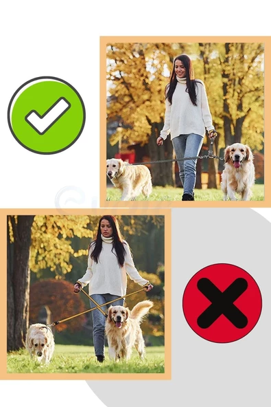 Evene Kedi Gezdirme Tasması Kedi Gezdirme Ipi Çiftli Tasma Model 9 Siyah - Resim 6