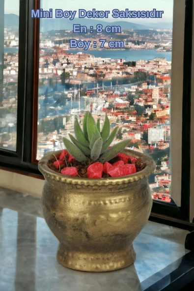 Kaktüs Saksı Dünyası El Yapımı Saksı Altın Eskitme Dekoratif Saksı Küçük Boy Model 43 - Resim 2