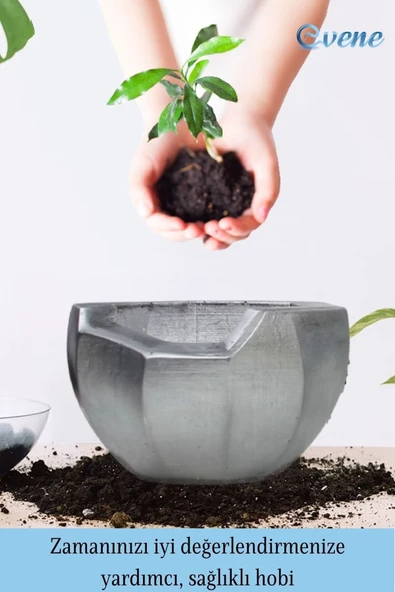 Evene Ahşap Ayaklı Beton Saksı Büyük Boy Set 3 Adet Gümüş Varak Boyalı Eskitmeli Önü Açık Model - Resim 4