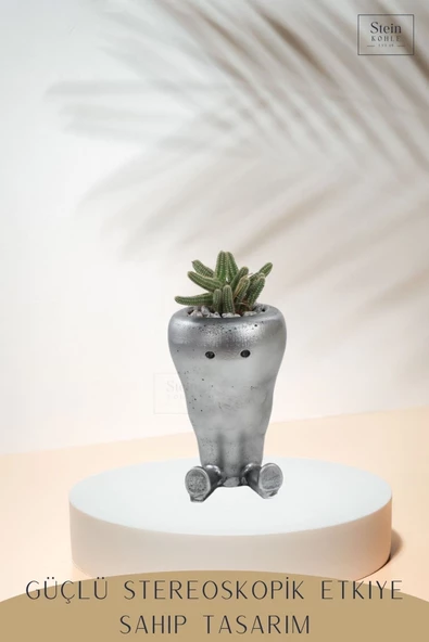 Stein Kohle Çiçek Saksısı Büyük Boy 2 Adet Gümüş Renk Eskitme Uygulamalı Havuç Model - Resim 5