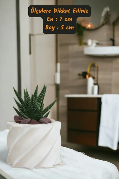 Viselia Kaktüs Saksısı Sukulent El Yapımı Saksı Balkon Çiçek Saksısı Ev Saksısı Saksı Model 9 Beyaz - Resim 3