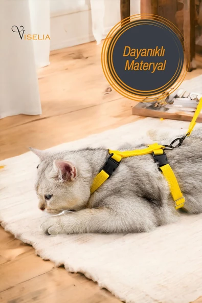 Viselia Kedi Tasması Boyun Göğüs Ayarlanabilir Sevk Kayışlı Gezdirme Seti - 3