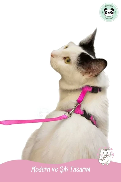 Pandogo Kedi Köpek Tasması Ayarlanabilir Bedenli Kaçış Önleyici Tasarım Sevk Kayışlı Model Pembe Dubai - Resim 6
