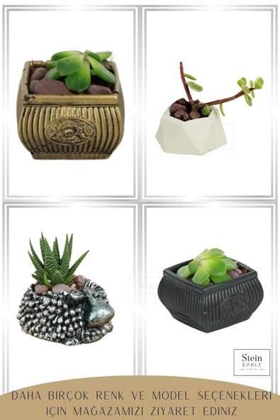 Stein Kohle Dekoratif Saksı Minik Kaktüs Saksısı Gümüş Eskitme Renk 1 Adet Koyun Model - Resim 4