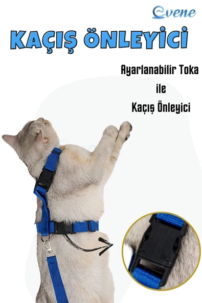 Evene Kedi Tasması Kedi Göğüs Bel Ayarlanabilir Dayanıklı Sağlam Tasma Mavi - Resim 2