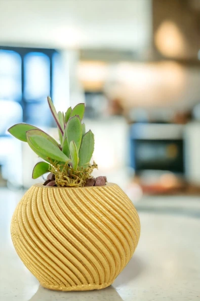 Viselia Kaktüs Saksısı Sukulent El Yapımı Saksı Balkon Çiçek Saksısı Ev Saksısı Saksı Model 1 Altın - Resim 4