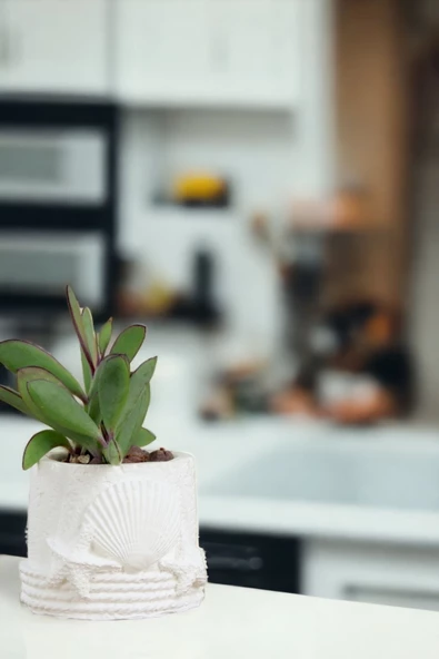 Viselia Kaktüs Saksısı Sukulent El Yapımı Saksı Balkon Çiçek Saksısı Ev Saksısı Saksı Model 5 Beyaz - Resim 4