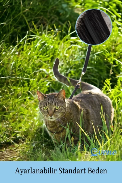 Evene Kedi Tasması Kedi Göğüs Bel Ayarlanabilir Dayanıklı Sağlam Tasma 1 cm İnce Kolon Siyah - Resim 6