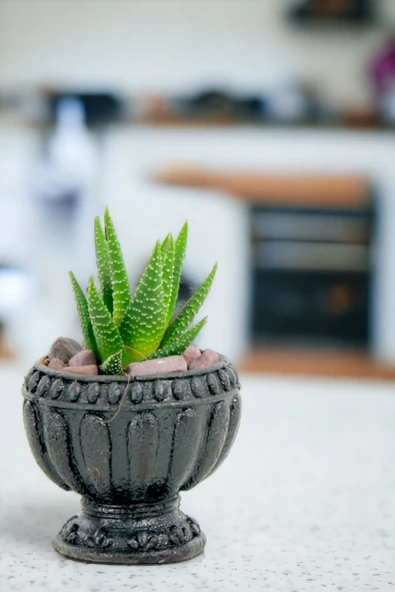 Viselia Kaktüs Saksısı Sukulent El Yapımı Saksı Balkon Çiçek Saksısı Ev Saksısı Saksı Model 17 Siyah - Resim 4