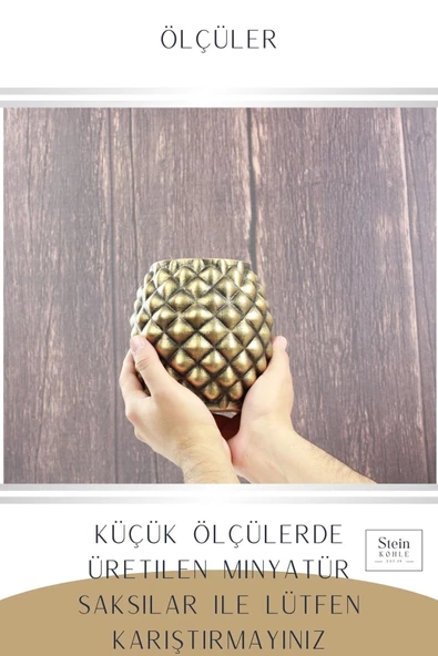 Stein Kohle Çiçek Saksısı Büyük Boy 2 Adet Altın Renk Eskitme Uygulamalı Ananas Model - Resim 3