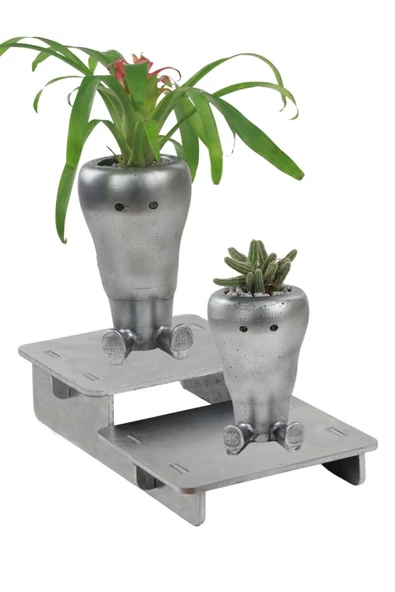 Stein Kohle Ayaklı Saksı Ahşap Büyük Boy 2 Adet Gümüş Renk Eskitme Uygulamalı Havuç Model ürün görseli 1