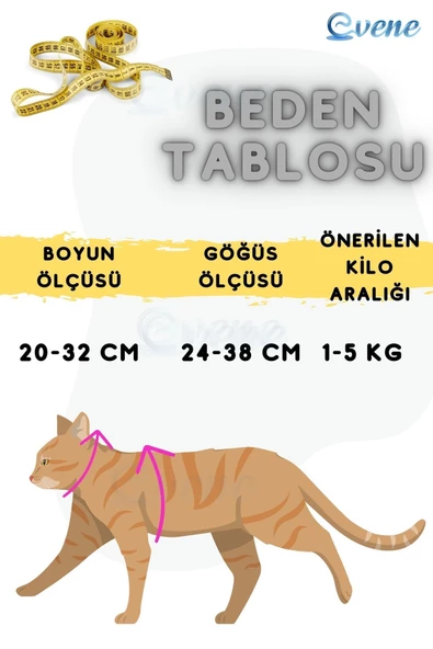 Evene Kedi Tasması Kedi Gögüs Bel Ayarlanabilir Tasma Siyah - 3