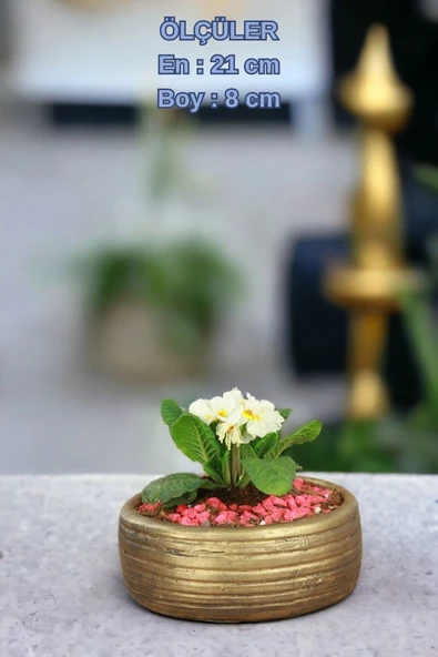 Kaktüs Saksı Dünyası El Yapımı Saksı Altın Eskitme Premium Kalite Dekoratif Saksı Model 4 - Resim 2