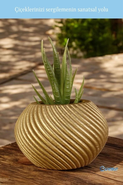 Evene Mini Çiçek Saksı Küçük Sukulent Altın Kaktüs Saksısı Ince Çizgili Spiral Model - Resim 3
