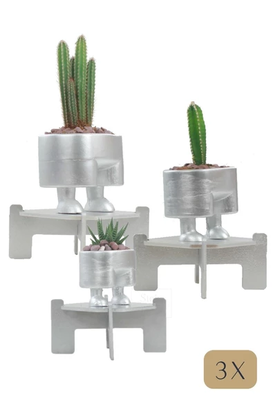 Stein Kohle Ayaklı Saksı Ahşap Büyük Boy 3 Adet Gümüş Renk Uygulamalı Pantolon Model