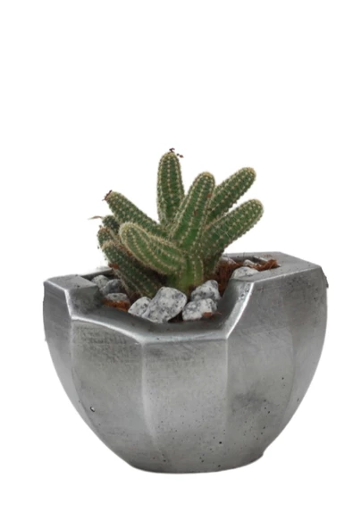 Stein Kohle Çiçek Saksısı Dekoratif Kaktüs Saksı 1 Adet Gümüş Renk Eskitme Uygulamalı Önü Açık Model ürün görseli 1