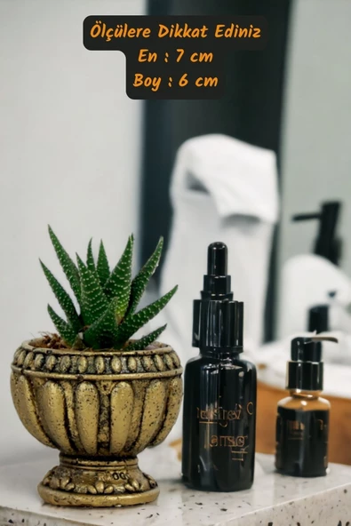 Viselia Kaktüs Saksısı Sukulent El Yapımı Saksı Balkon Çiçek Saksısı Ev Saksısı Saksı Model 17 Altın - Resim 3