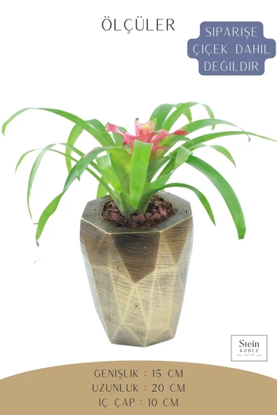 Stein Kohle Çiçek Saksısı Büyük Boy 1 Adet Altın Renk Eskitme Uygulamalı Uzun Poly Model - Resim 2