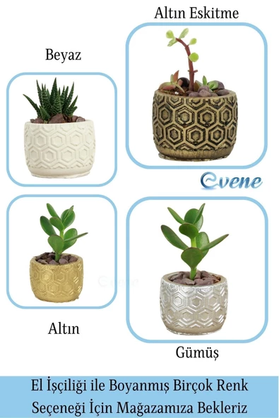 Evene Mini Çiçek Saksı Küçük Sukulent Beyaz Kaktüs Saksısı Altıgen Desenli Model - Resim 7
