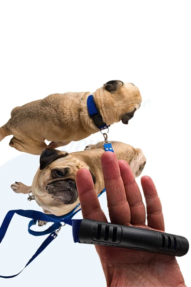 Evene Kedi Gezdirme Tasması Kedi Gezdirme Ipi Çiftli Tasma Model 9 Mavi - Resim 4