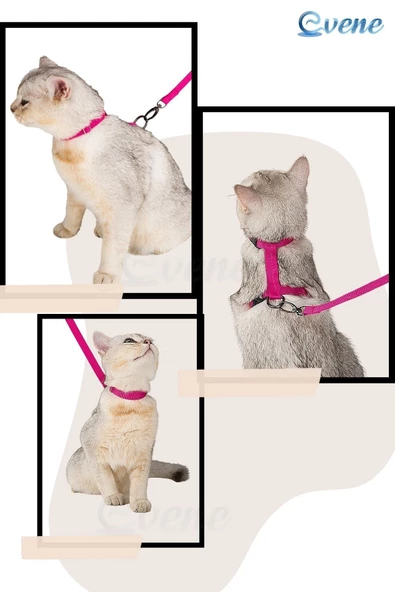 Evene Kedi Tasması Kedi Gögüs Bel Ayarlanabilir Tasma Pembe - Resim 8