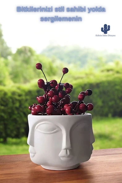 Kaktüs Saksı Dünyası Adler Havelka Saksı 2 Li Saksı Seti Buda Saksı Dekoratif Boyasız Havelka Saksı - Resim 8