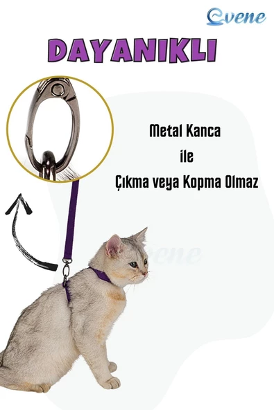 Evene Kedi Tasması Kedi Gögüs Bel Ayarlanabilir Tasma Mor 2cm - Resim 2