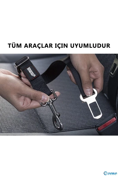 Evene Siyah Kedi Tasması Tutucu Kedi Köpek Araç Emniyet Kemeri Tasması - 4