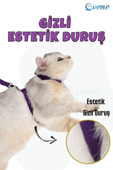 Evene Kedi Tasması Kedi Göğüs Bel Ayarlanabilir Dayanıklı Sağlam Tasma Mor - Resim 5