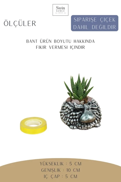 Stein Kohle Dekoratif Saksı Minik Kaktüs Saksısı Gümüş Eskitme Renk 1 Adet Koyun Model - Resim 2