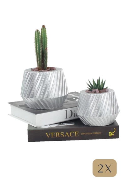 Stein Kohle Çiçek Saksısı Büyük Boy 2 Adet Gümüş Renk Uygulamalı Dişli Model ürün görseli