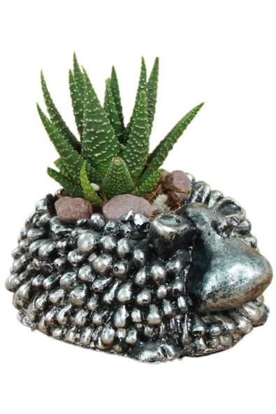 Stein Kohle Dekoratif Saksı Minik Kaktüs Saksısı Gümüş Eskitme Renk 1 Adet Koyun Model ürün görseli 1