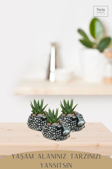 Stein Kohle Dekoratif Saksı Minik Kaktüs Saksısı Gümüş Eskitme Renk 1 Adet Koyun Model - Resim 3