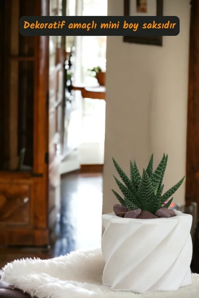 Viselia Kaktüs Saksısı Sukulent El Yapımı Saksı Balkon Çiçek Saksısı Ev Saksısı Saksı Model 9 Beyaz - Resim 2
