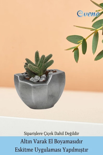Evene Ahşap Ayaklı Beton Saksı Büyük Boy Set 3 Adet Gümüş Varak Boyalı Eskitmeli Önü Açık Model - Resim 5
