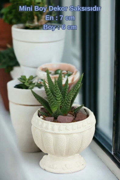 Kaktüs Saksı Dünyası El Yapımı Saksı Beyaz Dekoratif Saksı Küçük Boy Model 17 - Resim 2